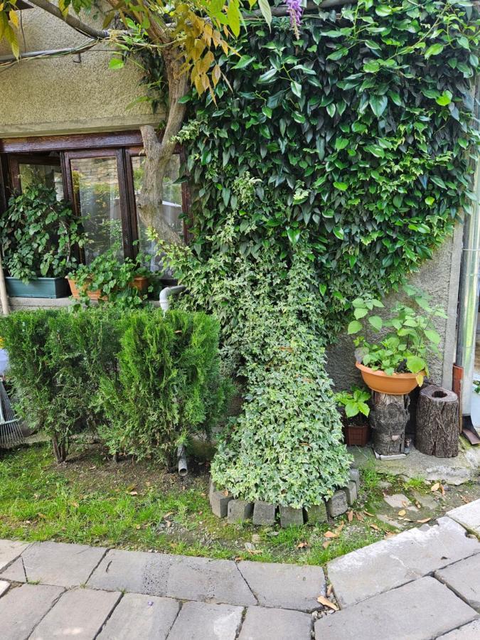 Tamari Guest House テラヴィ エクステリア 写真