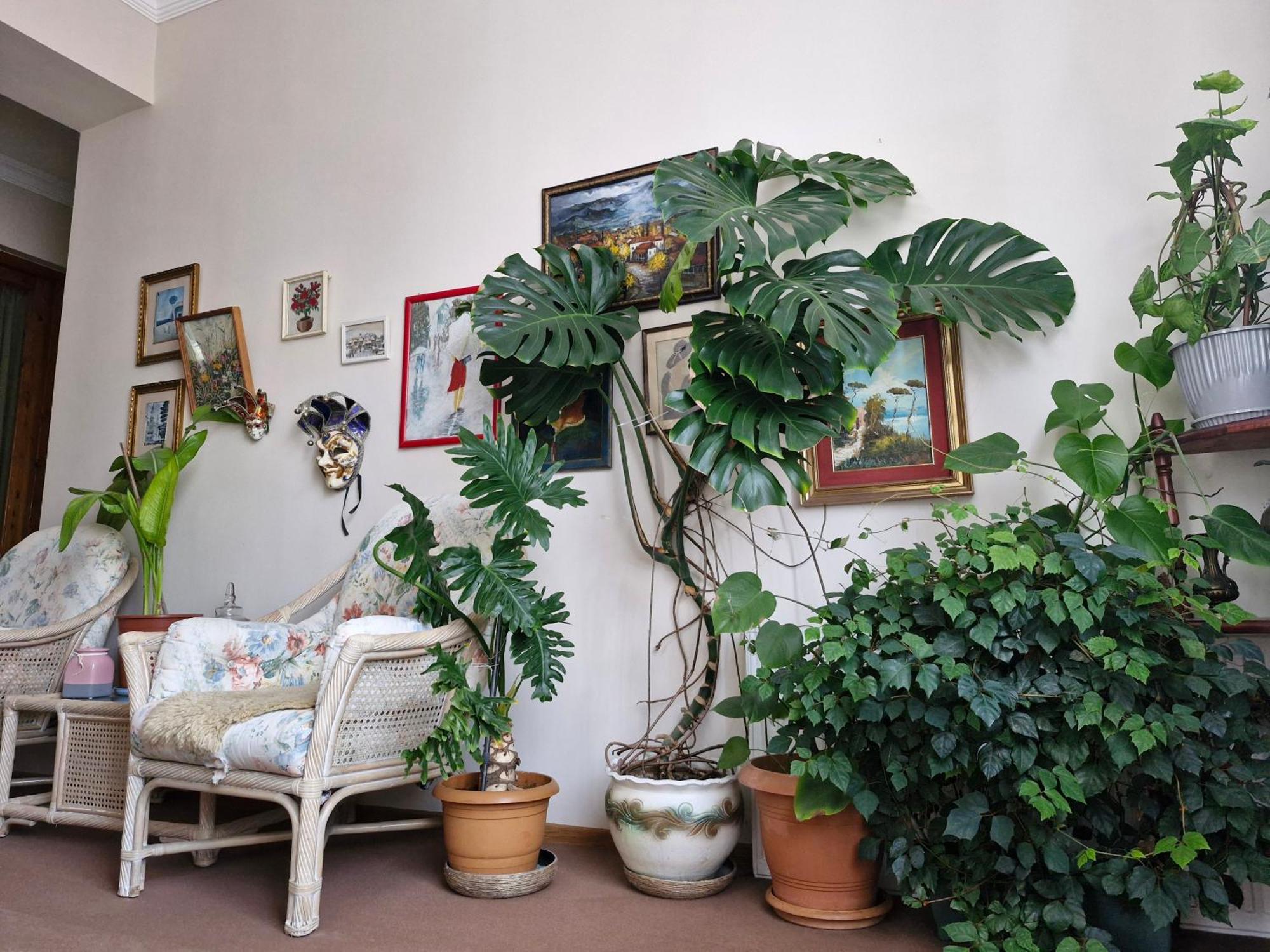 Tamari Guest House テラヴィ エクステリア 写真