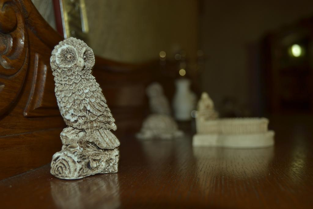 Tamari Guest House テラヴィ エクステリア 写真
