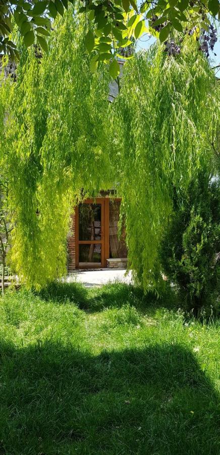 Tamari Guest House テラヴィ エクステリア 写真